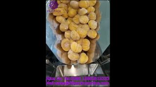 2287 J125 Rotary Bag-Feeding Chestnut Filling and Sealing Machine