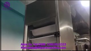 2284 J122 Вертикальная машина для упаковки в пакеты с намоткой пленкой и запечатыванием замороженных пельменей