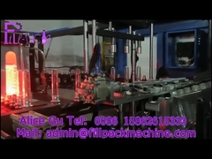 Автоматическая выдувная машина для бутылок FP-4000, 4-гнездная