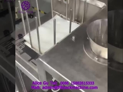 1910 J99 Линейная упаковочная машина для наполнения и уплотнения жидкости для питания мешками