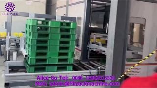 2307 P42 Портальная производственная линия по паллетированию картонной упаковки