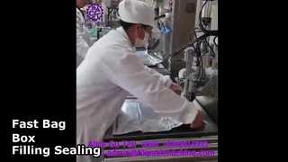 2108 L14 Полуавтоматическая одноголовочная машина для наполнения и запечатывания пакетов Bag-in-Box